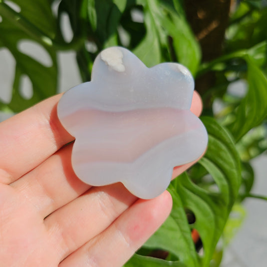 Flower Agate Flower #12D