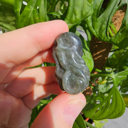 Labradorite Octopus Skull #9C