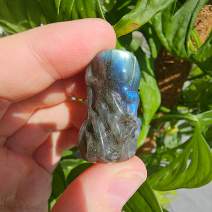 Labradorite Octopus Skull #9C