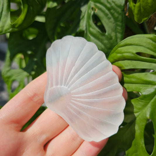 Satin Spar Selenite Shell #15A