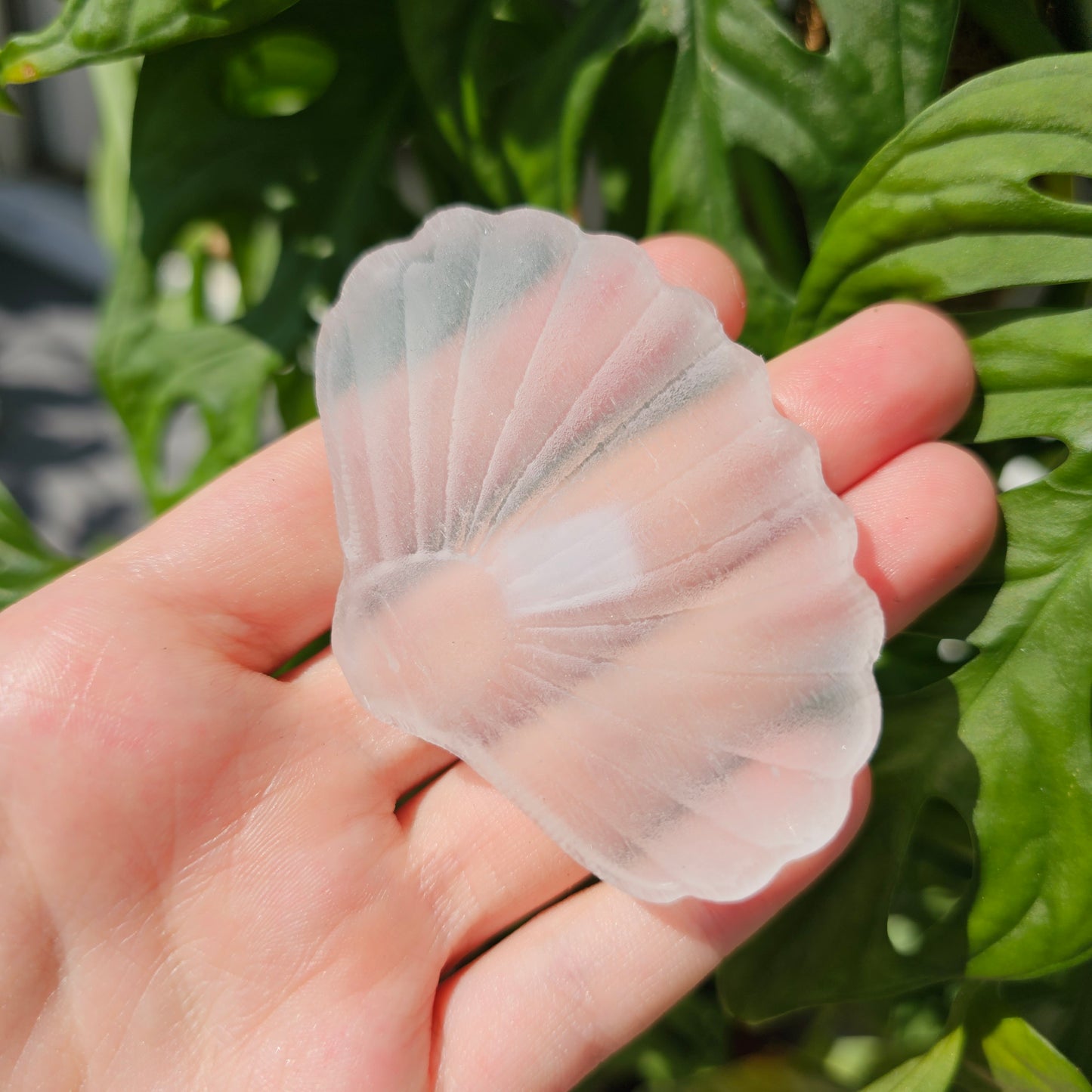 Satin Spar Selenite Shell #15B