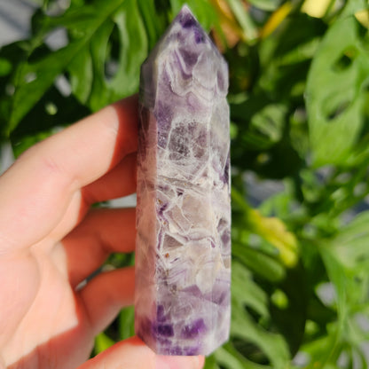 Dream Amethyst Tower #15G