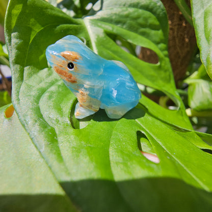 Blue Calcite Frog #19C (Blue Onyx)