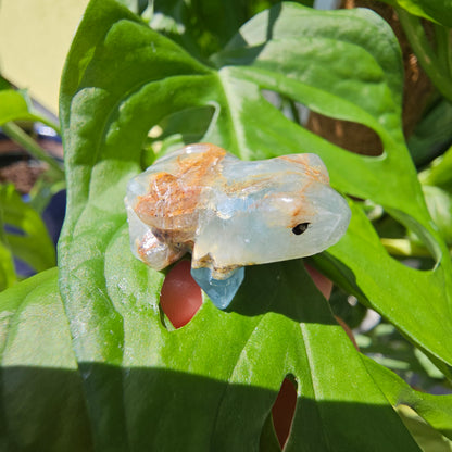 Blue Calcite Frog #19H (Blue Onyx)