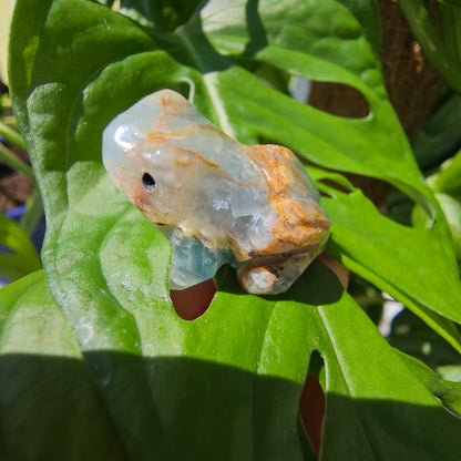 Blue Calcite Frog #19H (Blue Onyx)