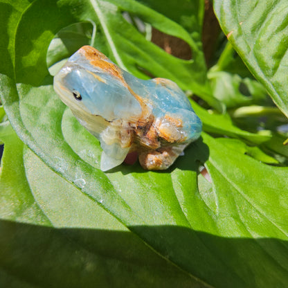 Blue Calcite Frog #19i (Blue Onyx)