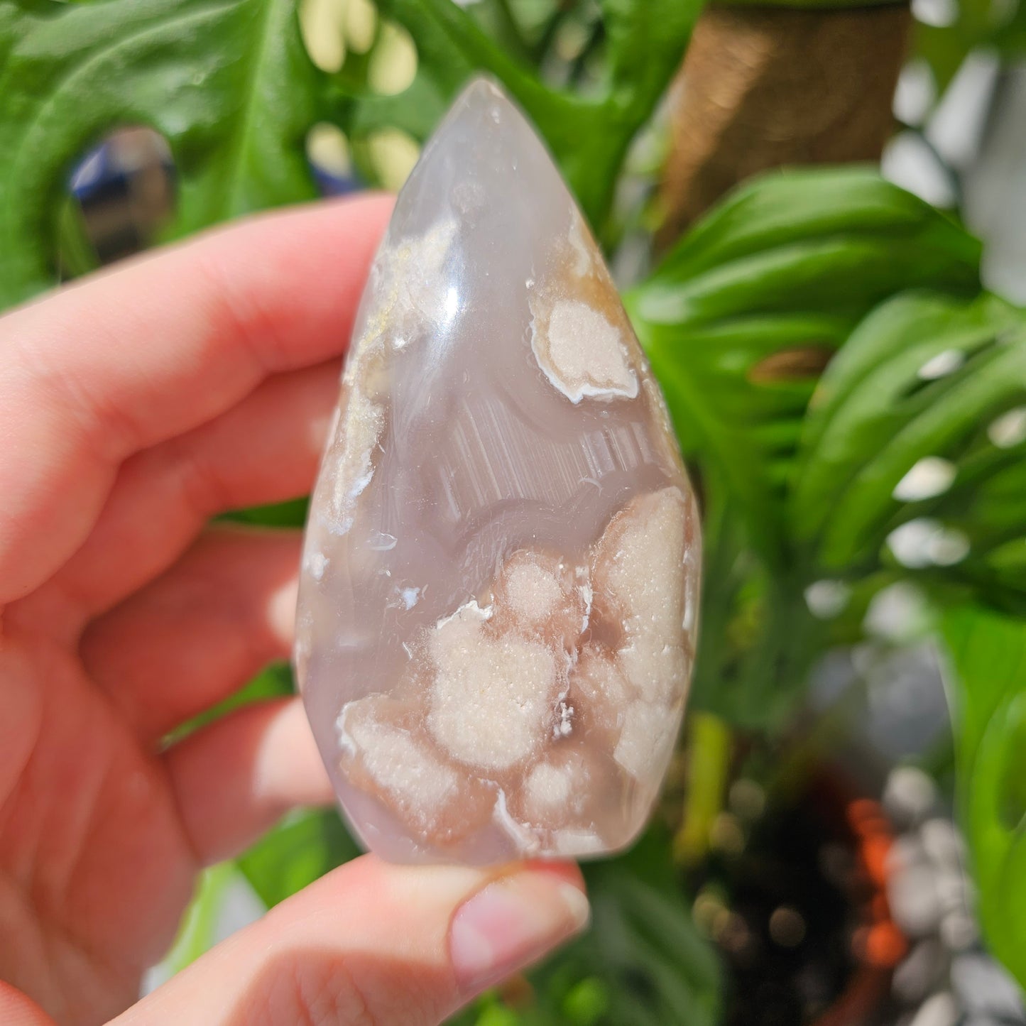 Flower Agate Flame #24Y