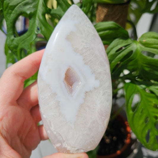 Flower Agate Flame #65X