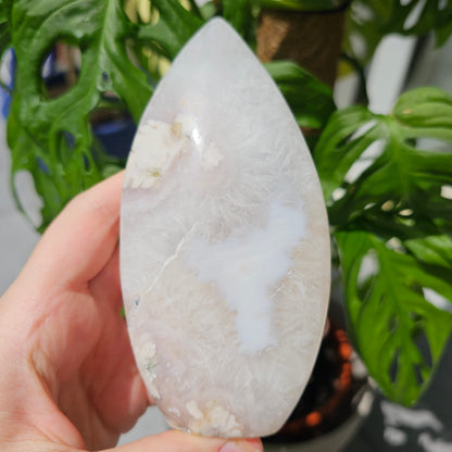 Flower Agate Flame #65X