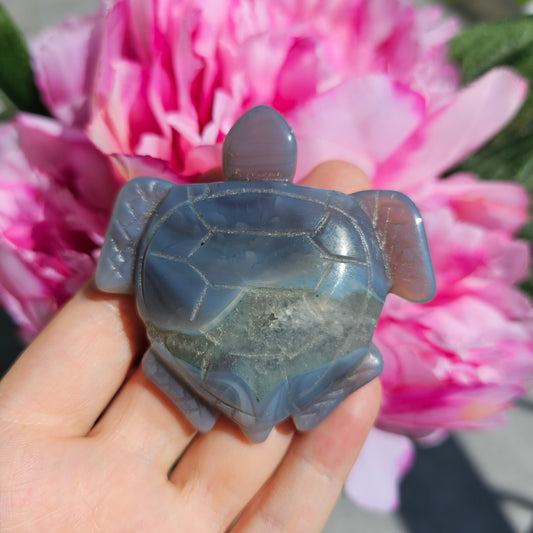 Druzy Agate Turtle #25A