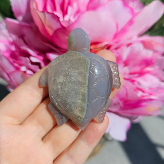 Druzy Agate Turtle #25D