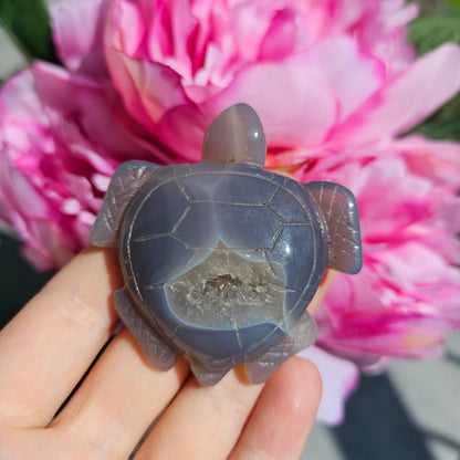 Druzy Agate Turtle #25E