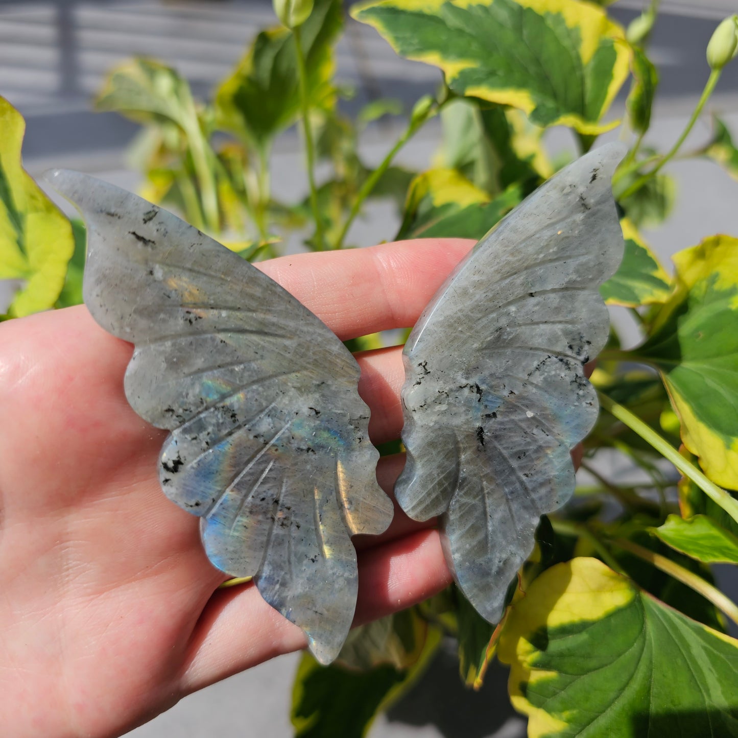 Labradorite Butterfly Wing #39C