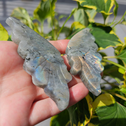 Labradorite Butterfly Wing #39C