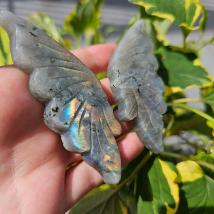 Labradorite Butterfly Wing #39C