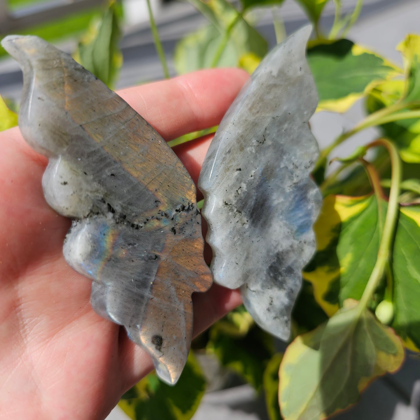 Labradorite Butterfly Wing #39C