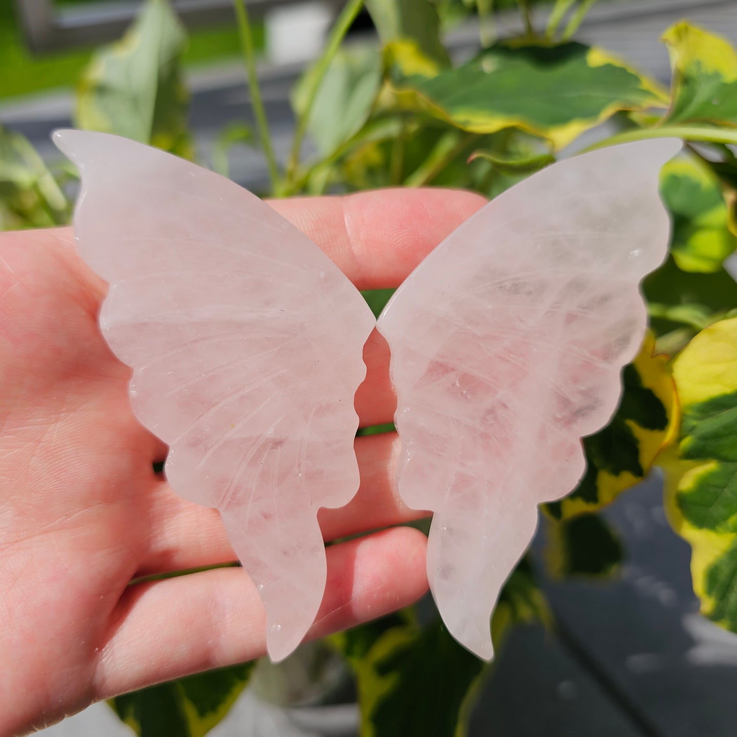 Rose Quartz Butterfly Wings #35A