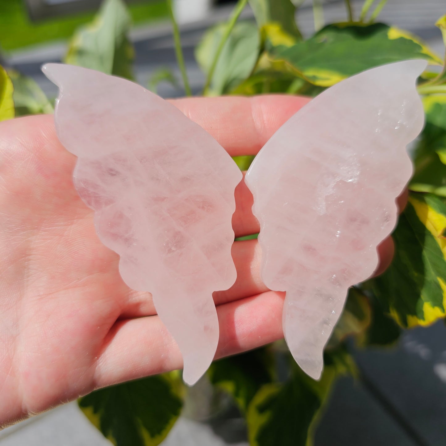 Rose Quartz Butterfly Wings #35A