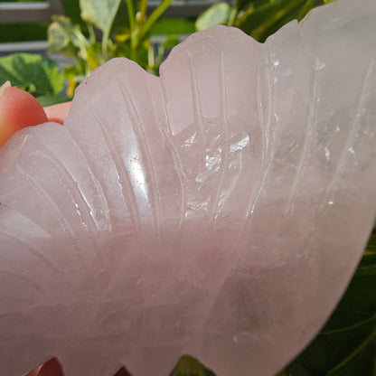 Rose Quartz Butterfly Wings #37B