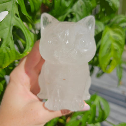 XL Clear Quartz Cat #99CA