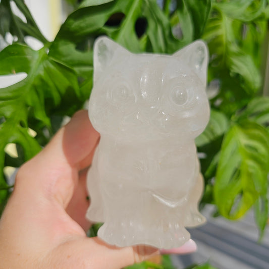 XL Clear Quartz Cat #99CB