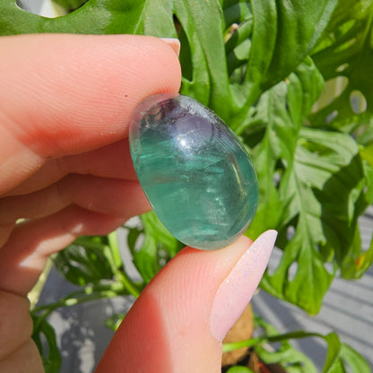 Green/Blue Fluorite Tumbled Stone