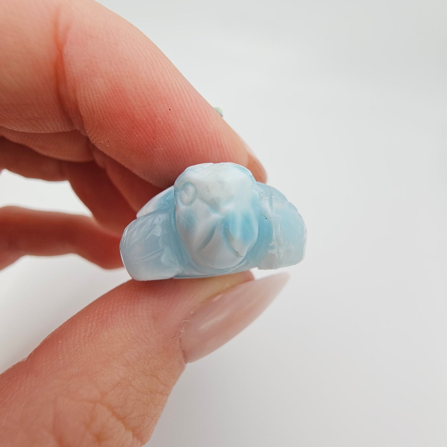 Larimar Schildkröte #95A