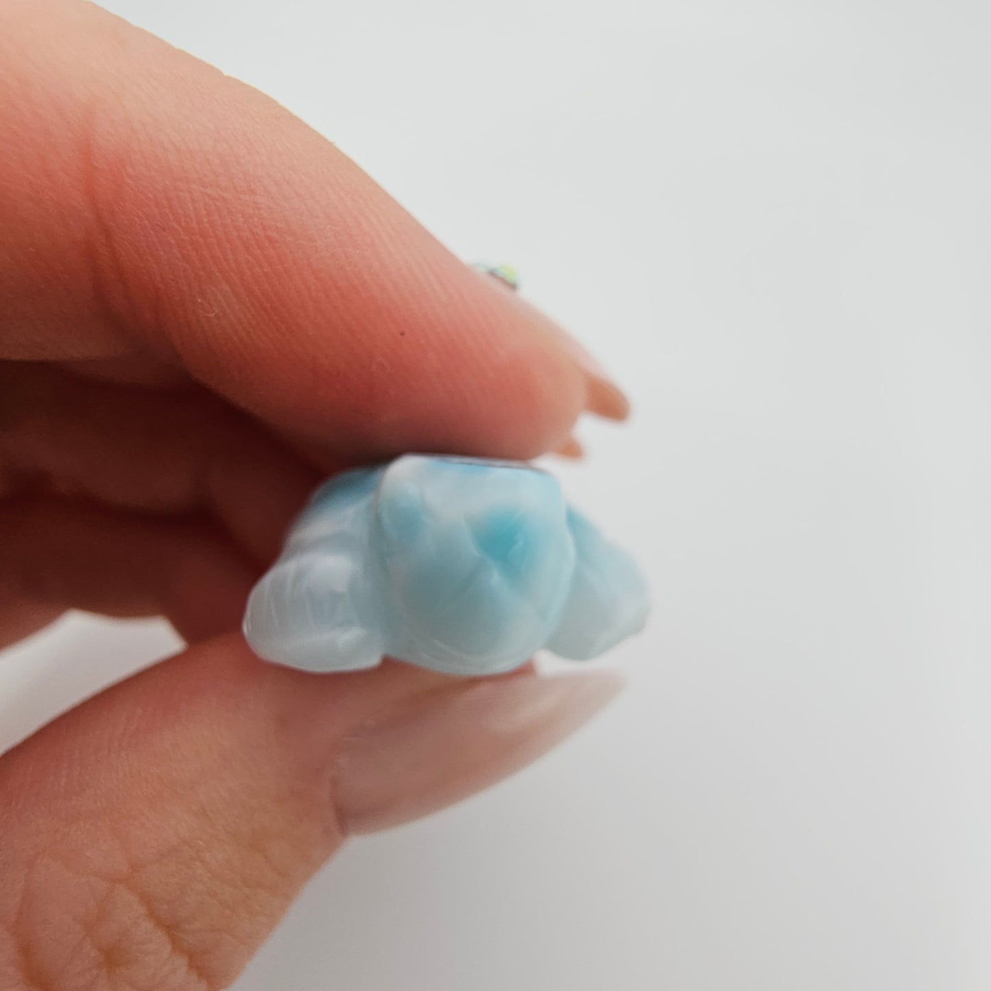 Larimar Schildkröte #79C