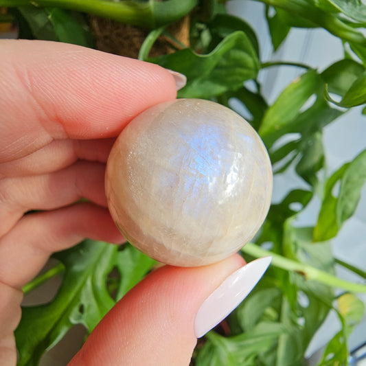 Moonstone Sphere with Blue Flash #12AB (pick your own)