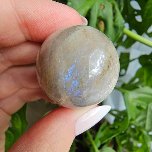 Moonstone sphere with blue flash #13 (pick your own)