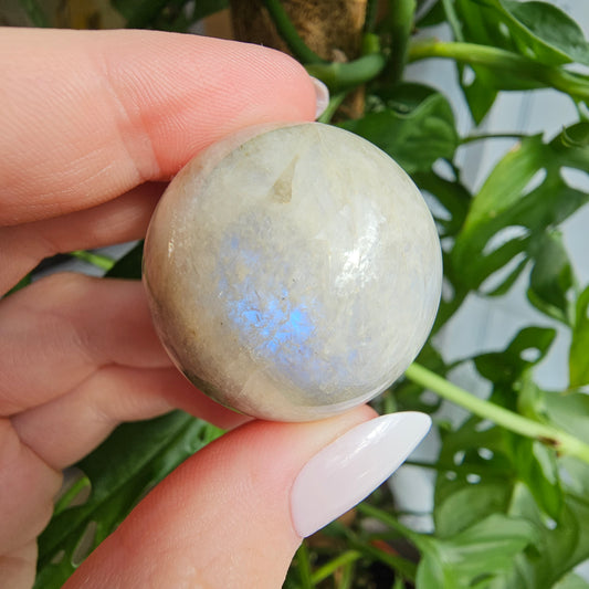 Moonstone sphere with blue flash #15 (pick your own)