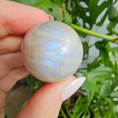 Moonstone sphere with blue flash #15 (pick your own)