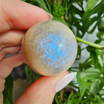 Moonstone sphere with blue flash #15 (pick your own)