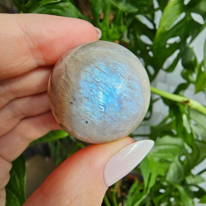 Moonstone sphere with blue flash #15 (pick your own)