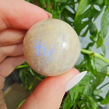 Moonstone sphere with blue flash #15 (pick your own)