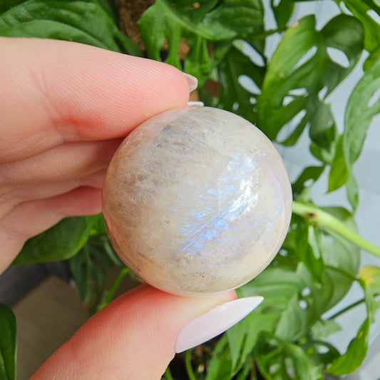 Moonstone sphere with blue flash #16 (pick your own)