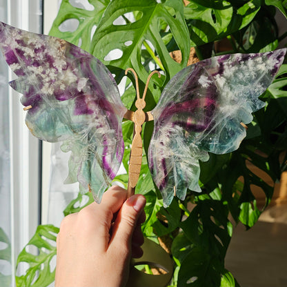 XL Fluorite Butterfly Wings