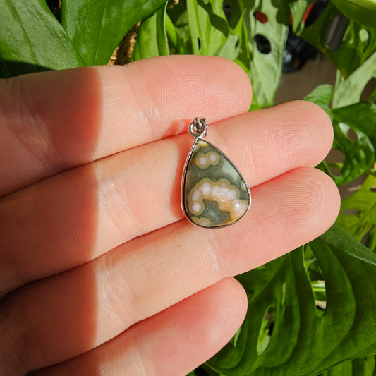 Ocean Jasper Pendant #19B (S925)