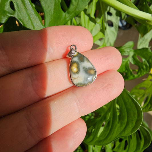 Ocean Jasper Pendant #19B (S925)