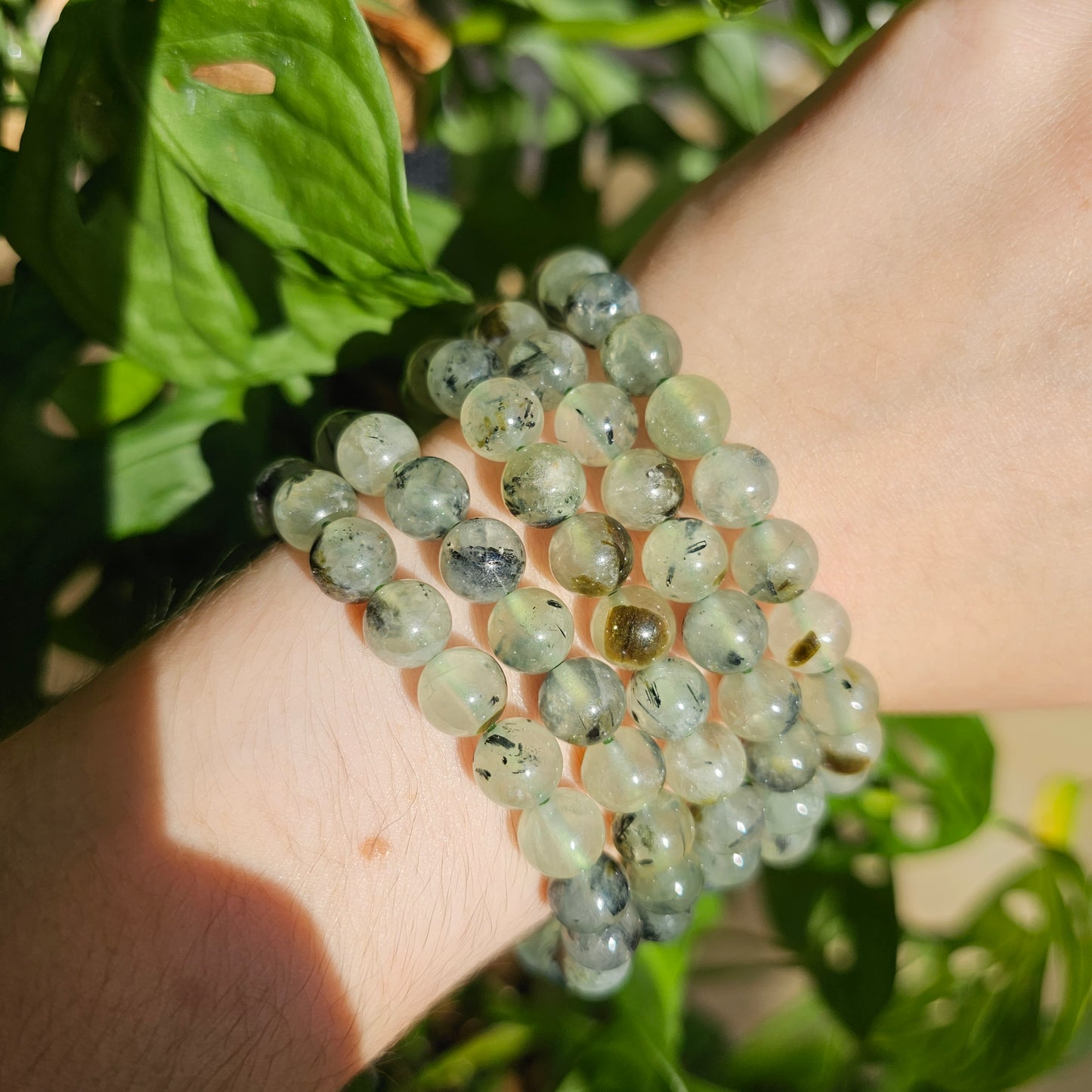 Prehnite Bracelet (8.5mm)