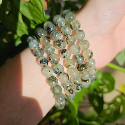 Prehnite Bracelet (8.5mm)