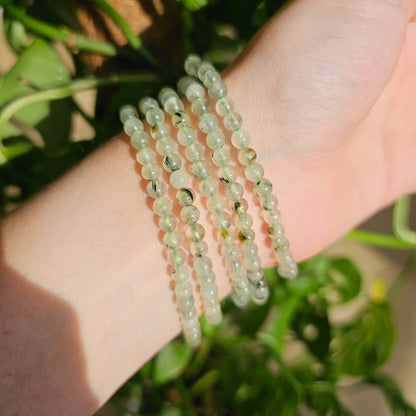 Prehnite Bracelet (5mm)