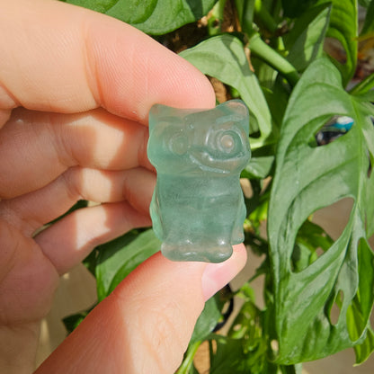 Fluorite Mini Cat #12B