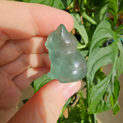 Fluorite Mini Cat #12B