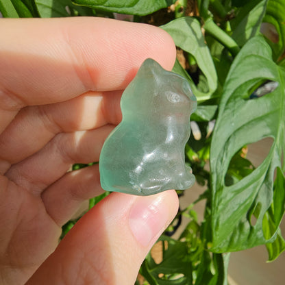 Fluorite Mini Cat #12B