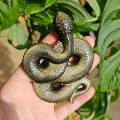 Gold Sheen Obsidian Snake