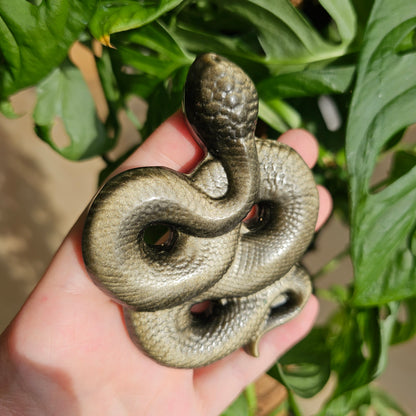 Gold Sheen Obsidian Snake