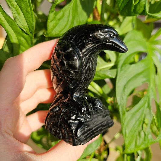 Obsidian Raven on branch