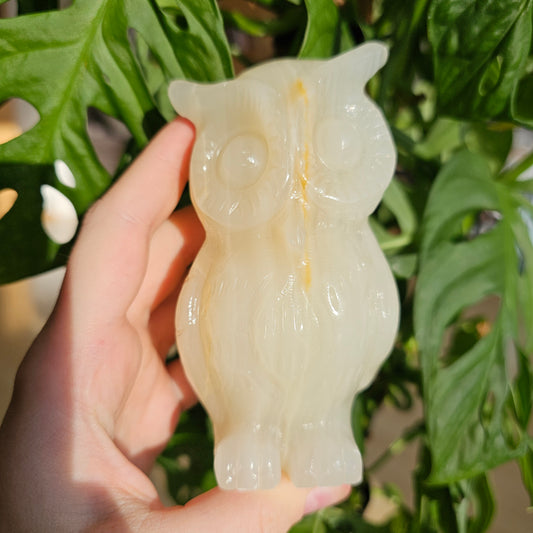 Afghan Onyx Owl (trade name)