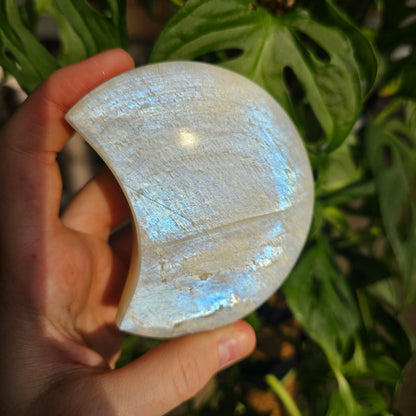 White Labradorite Crescent Moon on Stand #115B